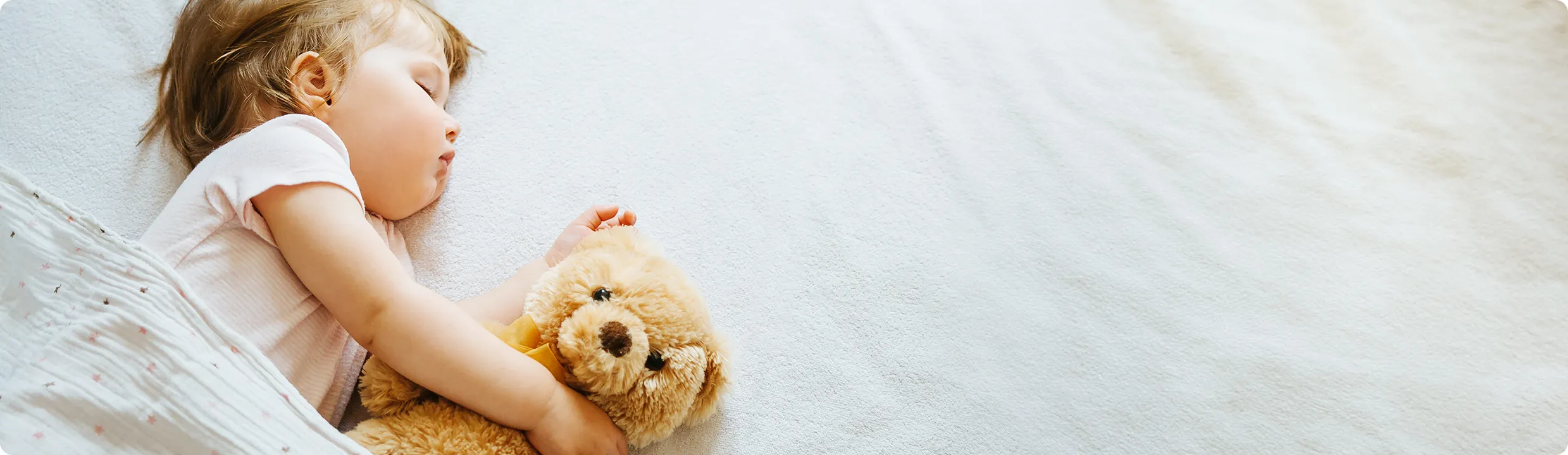 カビ・ダニが生じにくい健康な空気